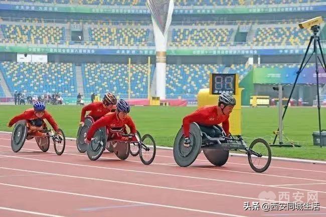 2025年新澳门和香港正版精准免费大全,精选解析、解释与落实