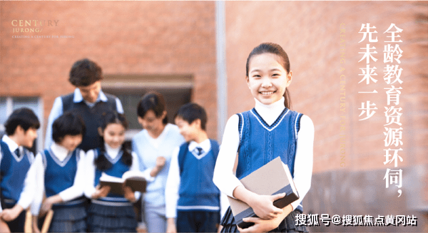 新澳门免费精准大全,精选解析、解释与落实